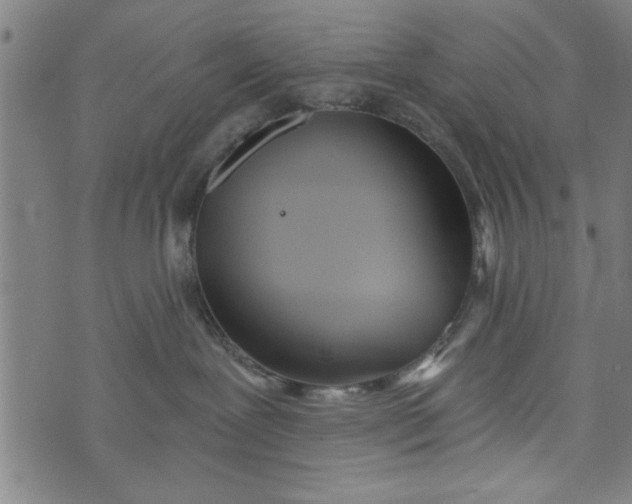 X0000073720239200608241239