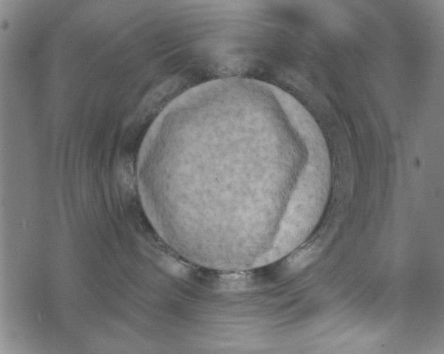 X0000073720240200608241239