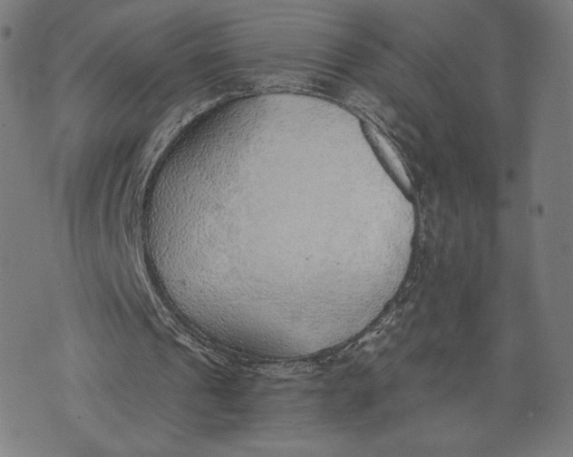 X0000073720241200608241239