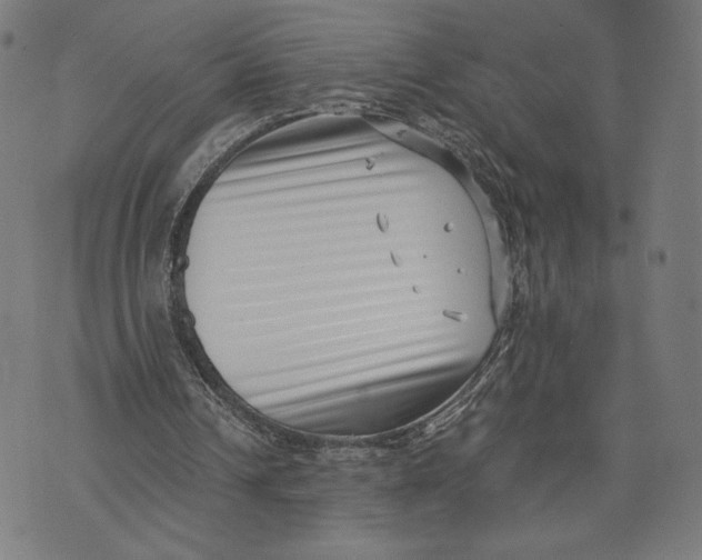 X0000073720242200608241239