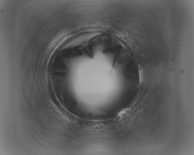 X0000073720243200608241239