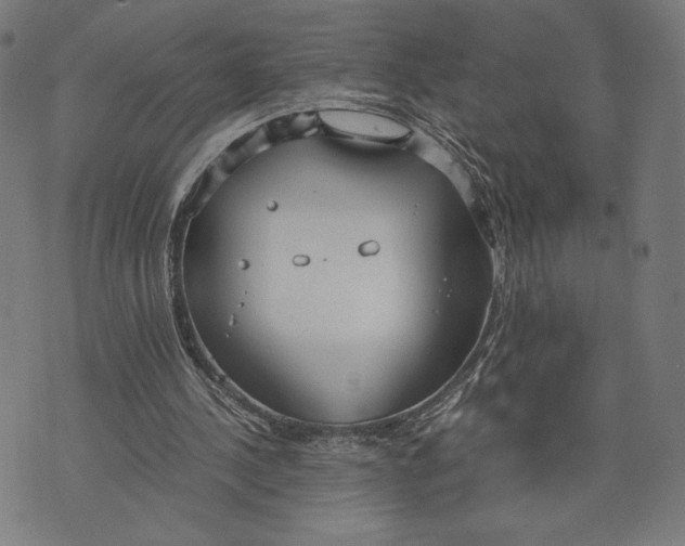 X0000073720244200608241239