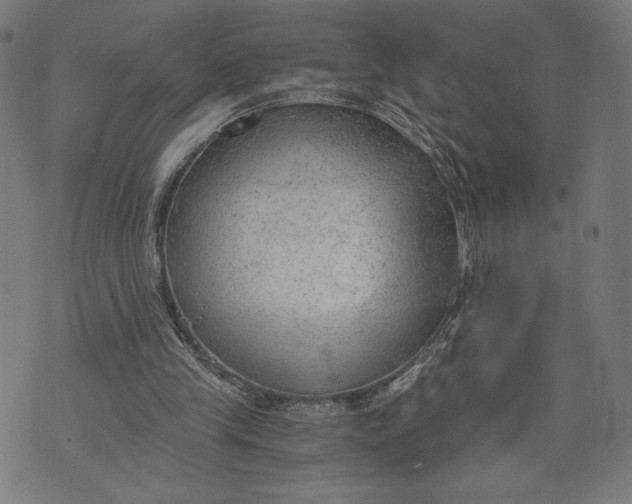 X0000073720245200608241239