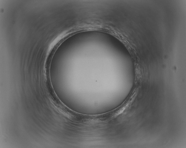 X0000073720246200608241239