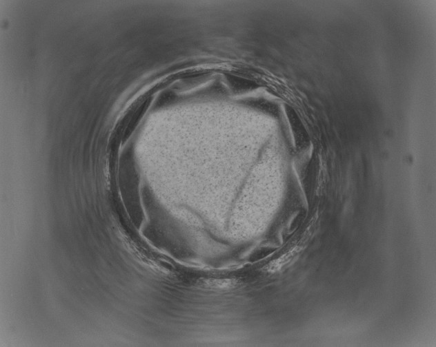 X0000073720247200608241239