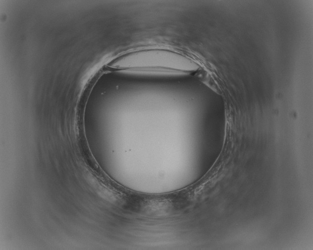 X0000073720248200608241239