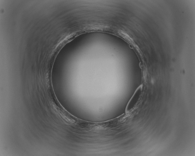 X0000073720249200608241239