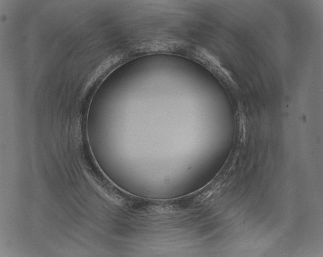 X0000073720250200608241239