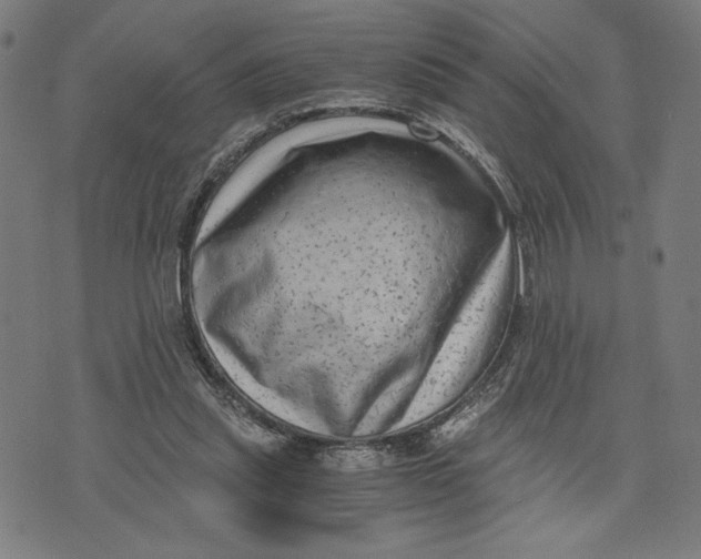 X0000073720253200608241239