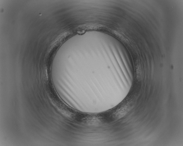 X0000073720254200608241239