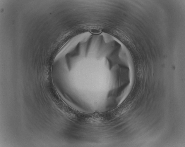 X0000073720255200608241239