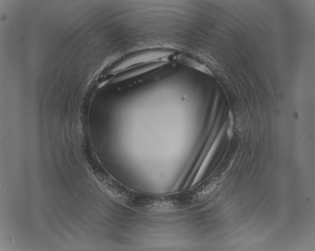 X0000073720256200608241239