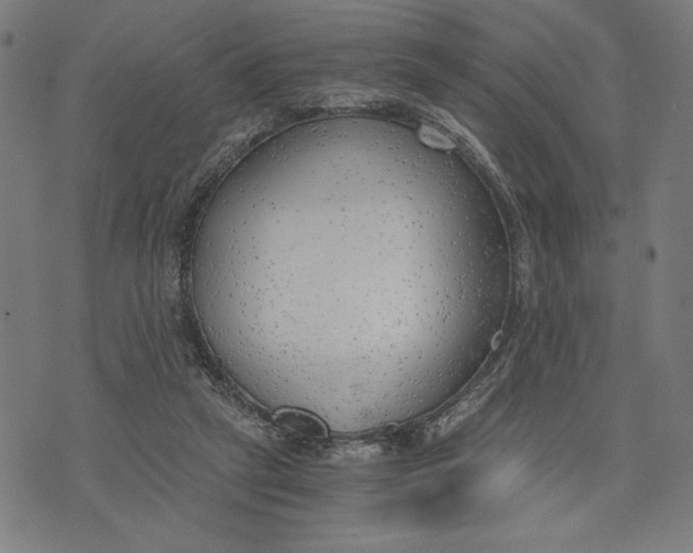 X0000073720257200608241239