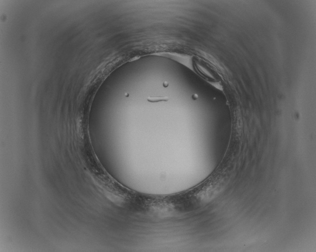 X0000073720258200608241239