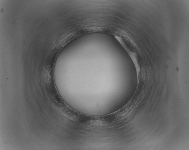 X0000073720259200608241239