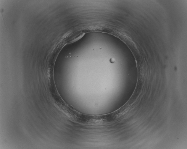 X0000073720260200608241239