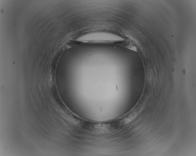 X0000073720261200608241239