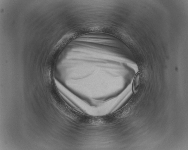 X0000073720262200608241239