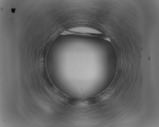 X0000073720263200608241239