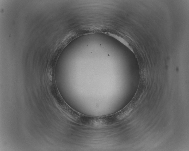 X0000073720264200608241239