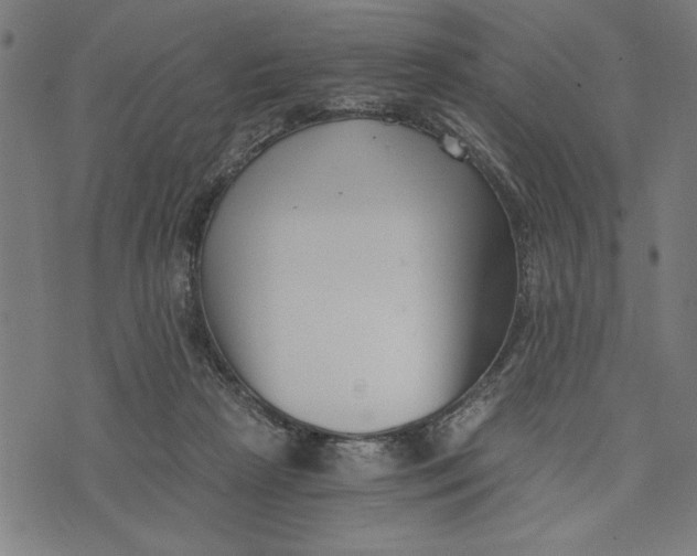 X0000073720265200608241239