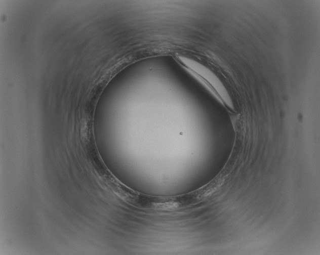 X0000073720266200608241239