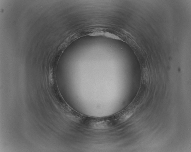 X0000073720267200608241239