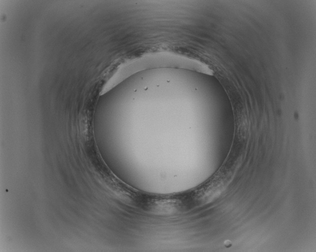 X0000073720268200608241239