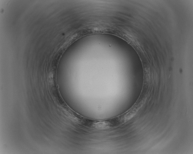 X0000073720269200608241239