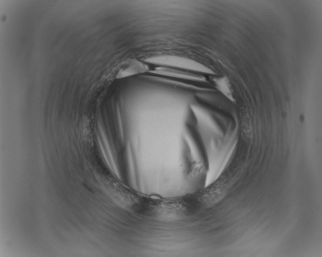 X0000073720270200608241239