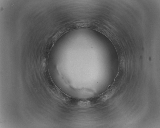 X0000073720271200608241239