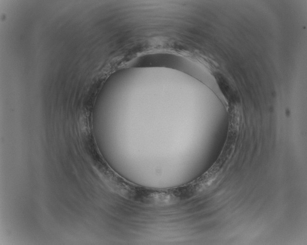 X0000073720272200608241239