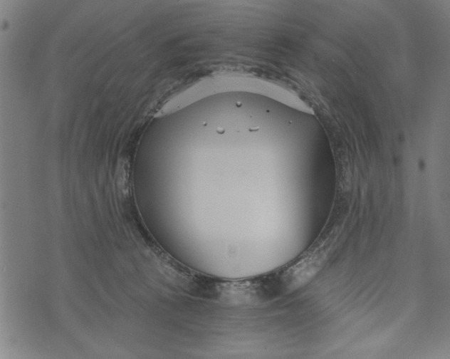 X0000073720273200608241239