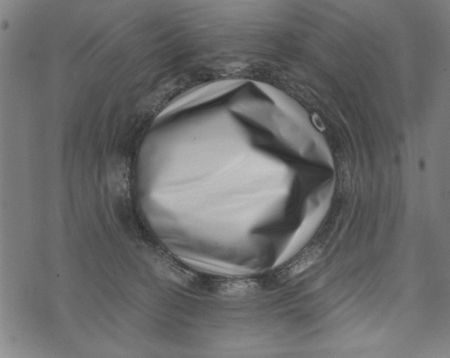 X0000073720274200608241239