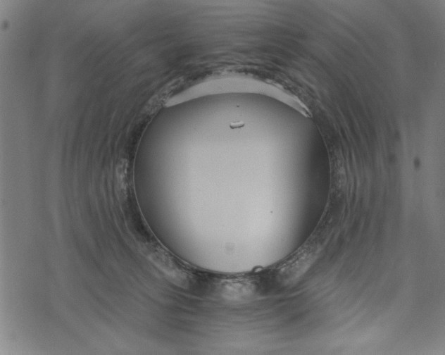 X0000073720275200608241239