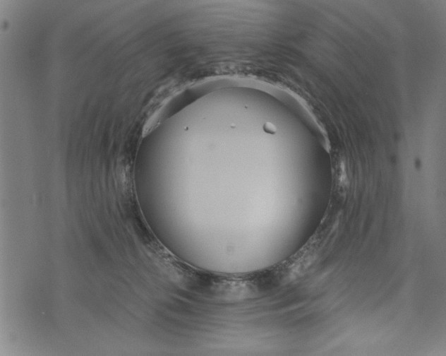 X0000073720276200608241239