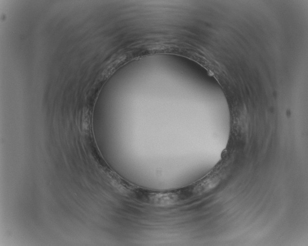 X0000073720277200608241239