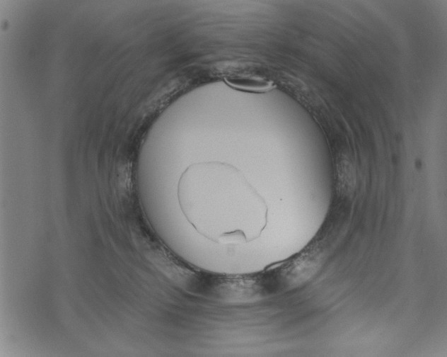 X0000073720278200608241239