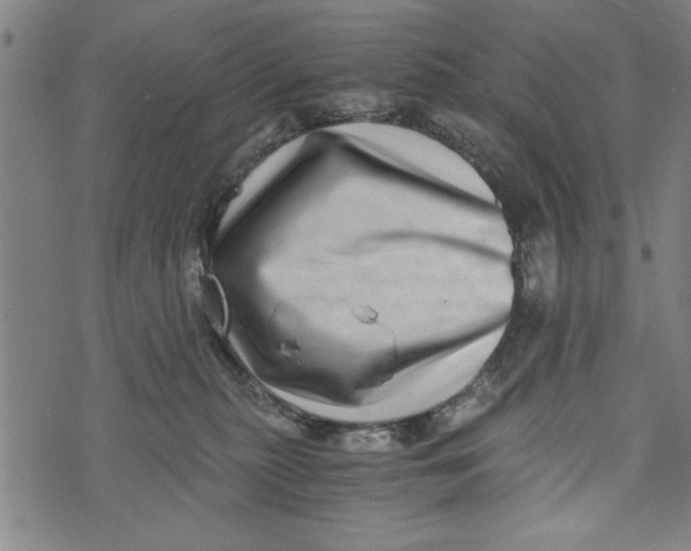 X0000073720279200608241239