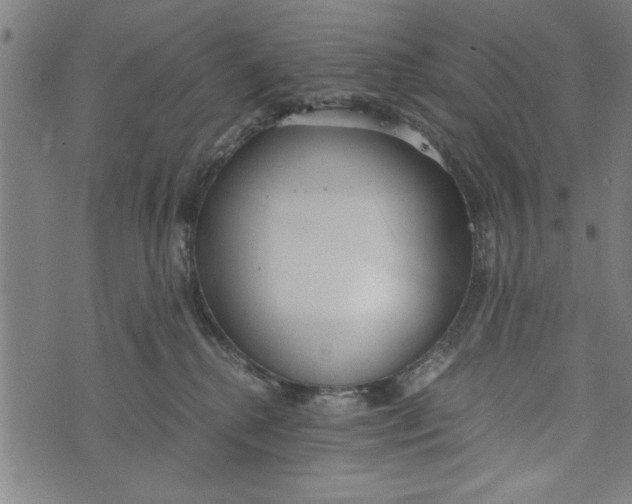 X0000073720280200608241239