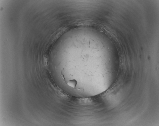 X0000073720281200608241239