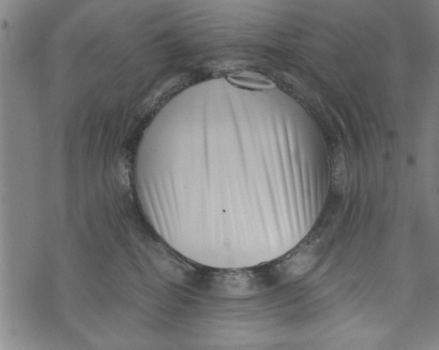 X0000073720282200608241239