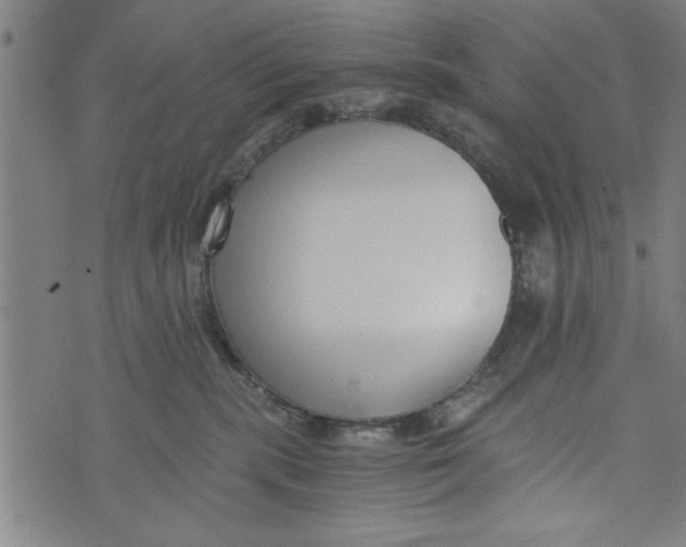 X0000073720283200608241239