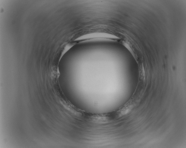 X0000073720284200608241239