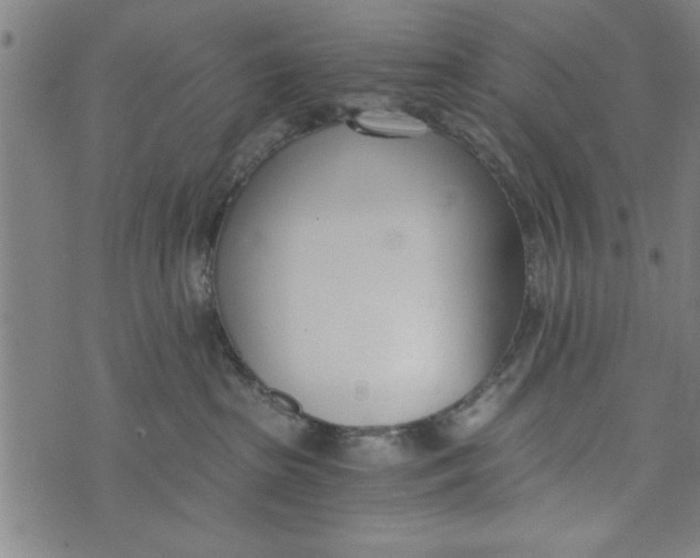 X0000073720285200608241239