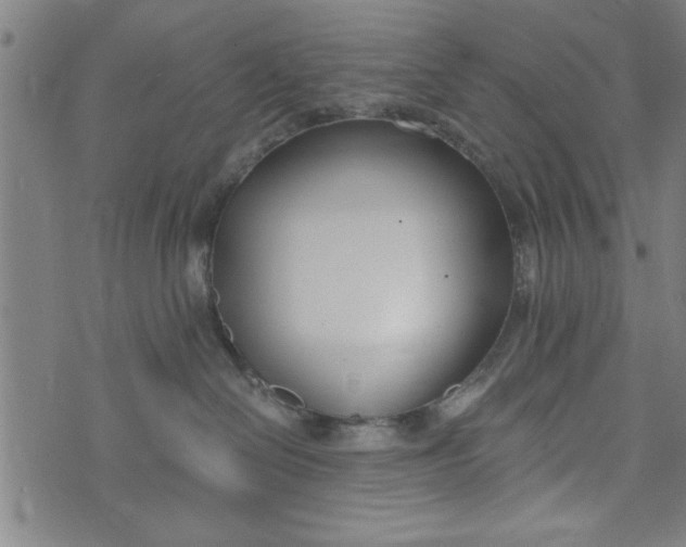 X0000073720286200608241239