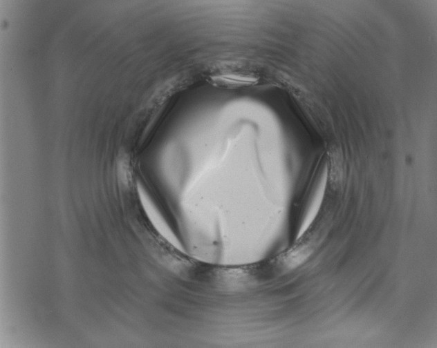 X0000073720287200608241239