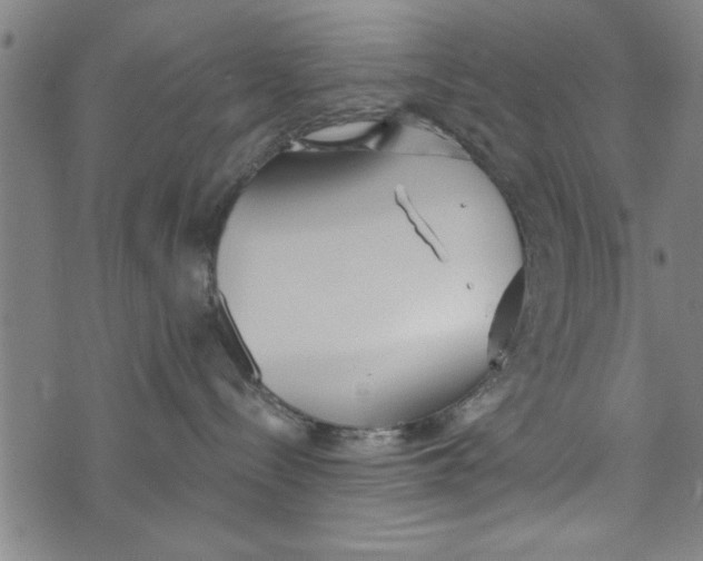 X0000073720288200608241239