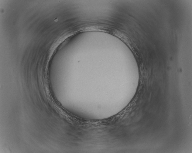 X0000073720289200608241239