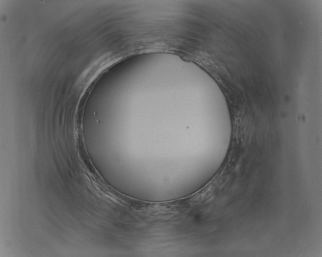 X0000073720290200608241239